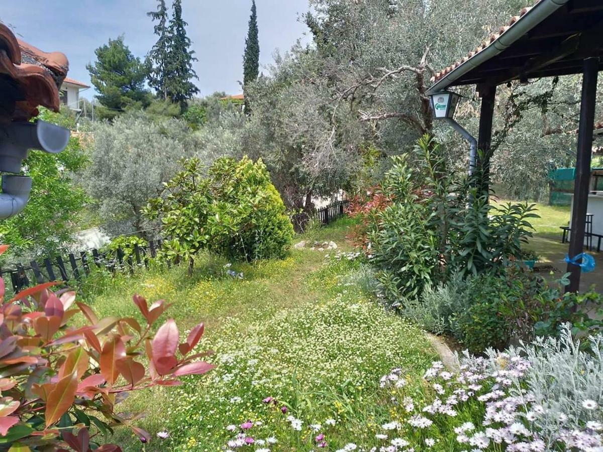 Persefoni House Villa Áfissos Buitenkant foto